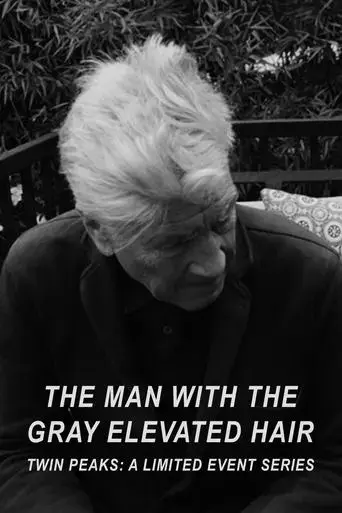 the-man-with-the-gray-elevated-hair-2017