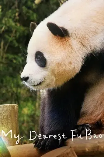 my-dearest-fu-bao-2024