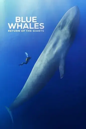 blue-whales-return-of-the-giants-2023