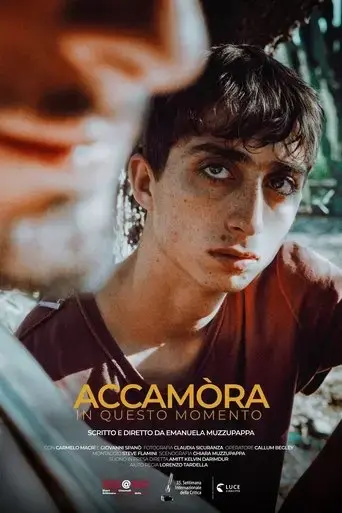 accamora-right-now-2020
