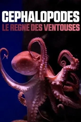 cephalopodes-le-regne-des-ventouses-2020