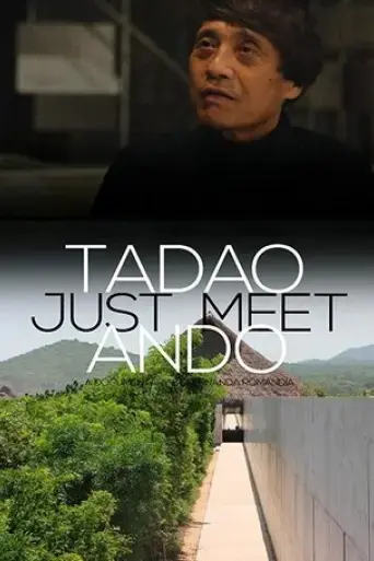just-meet-2019