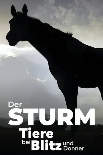 der-sturm-tiere-bei-blitz-und-donner-2023