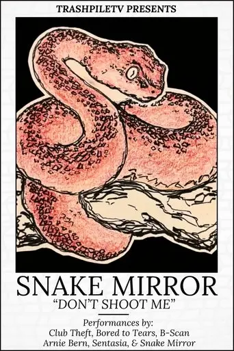 don-t-shoot-me-the-snake-mirror-weekend-tour-2025