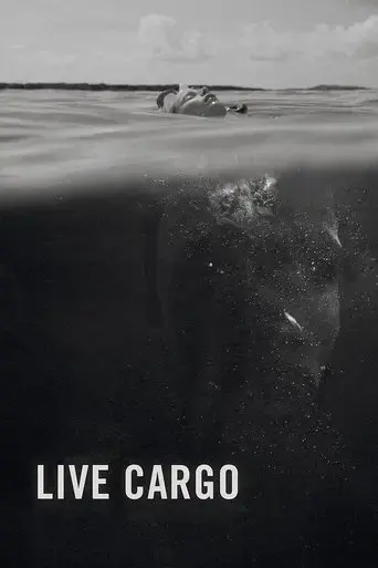 live-cargo-2016