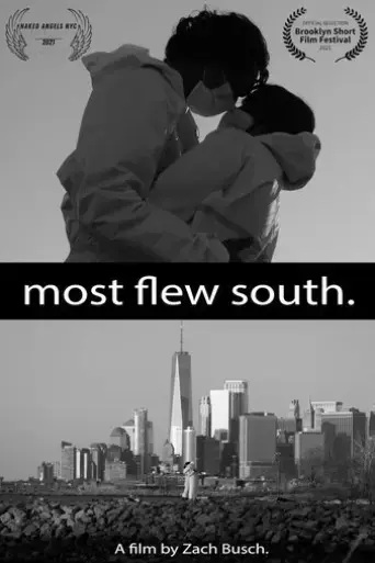 most-flew-south-2020