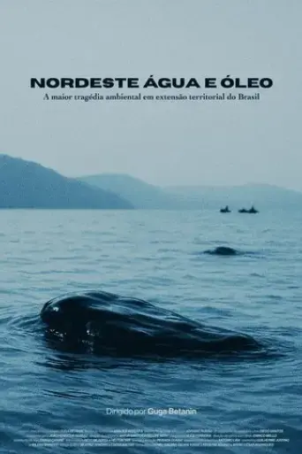 nordeste-agua-e-oleo-2025