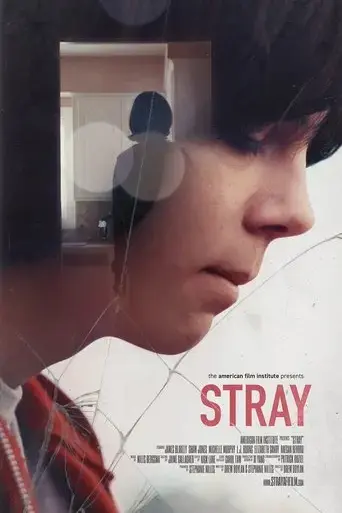 stray-2017