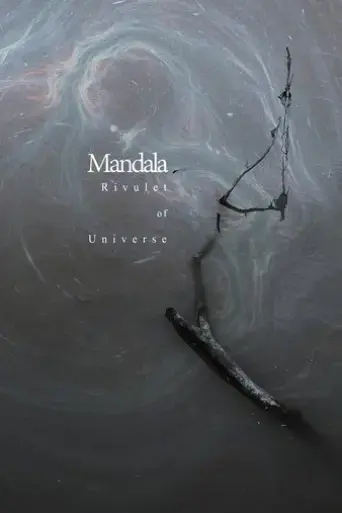 rivulet-of-universe-2024