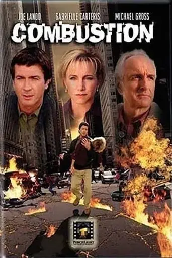 combustion-2004