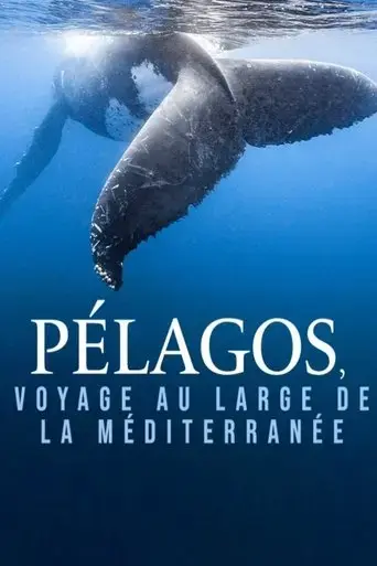 pelagos-voyage-au-large-de-la-mediterranee-2023