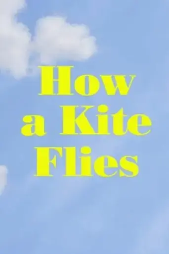 how-a-kite-flies-2017