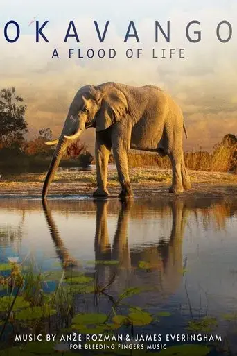 okavango-a-flood-of-life-2021