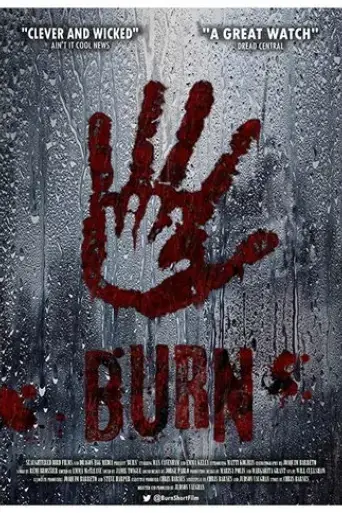 burn-2017