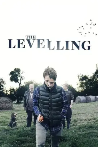 the-levelling-2017