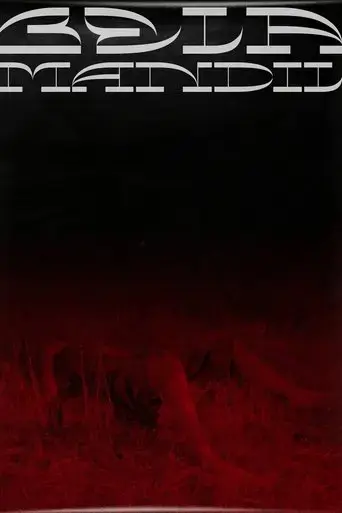 bela-mandil-2019