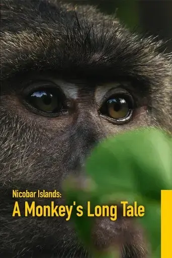 nicobar-islands-a-monkey-s-long-tale-2024