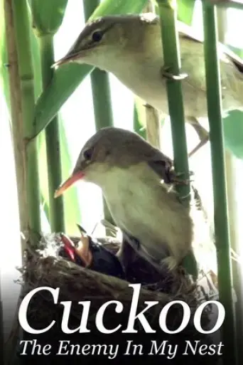 cuckoo-the-enemy-in-my-nest-2017