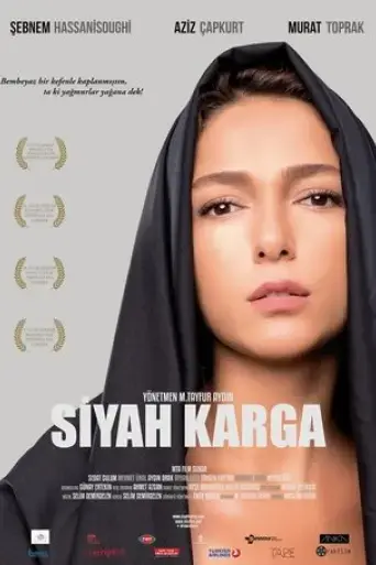 siyah-karga-2016