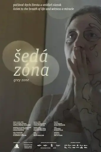 grey-zone-2024
