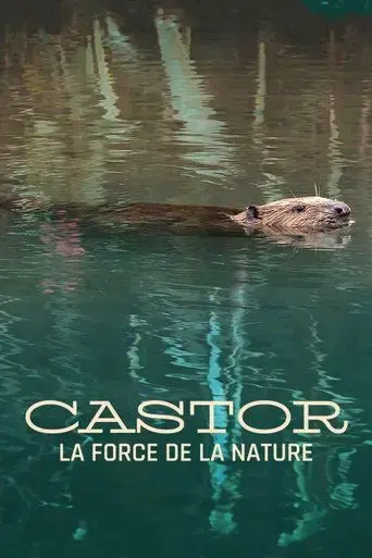 castor-la-force-de-la-nature-2023