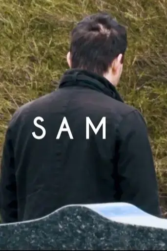 sam-2017