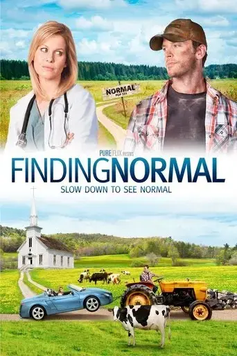 finding-normal-2013
