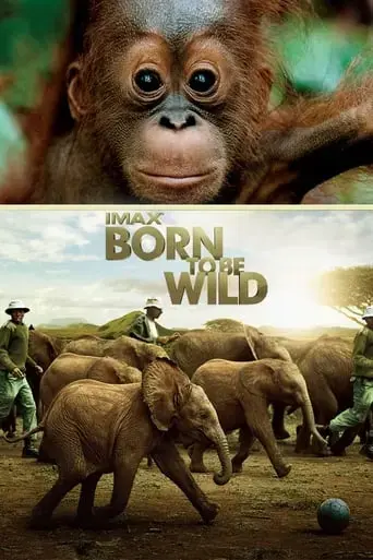 born-to-be-wild-2011