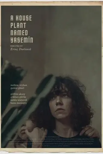a-house-plant-named-yasemin-2019