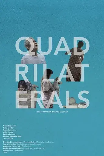 quadrilaterals-2017