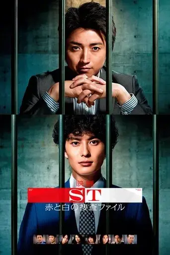 st-aka-to-shiro-no-sosa-file-the-movie-2015