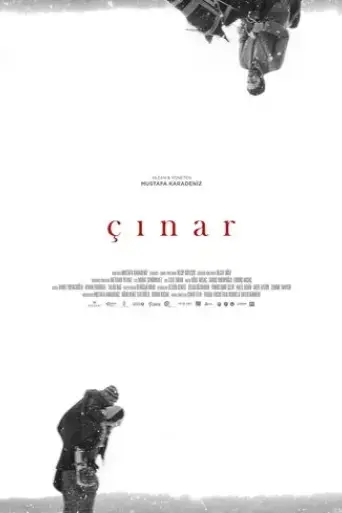 cinar-2018