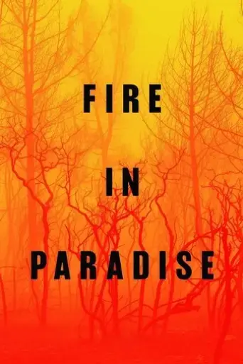fire-in-paradise-2019