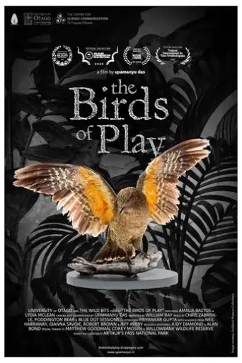 the-birds-of-play-2019