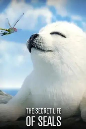 the-secret-life-of-seals-2022