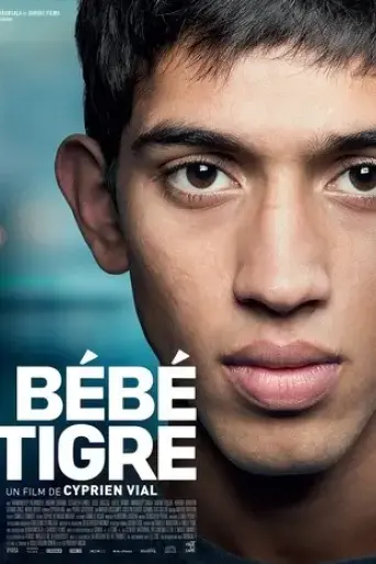 young-tiger-2015