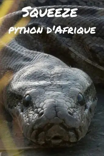 squeeze-african-python-2017