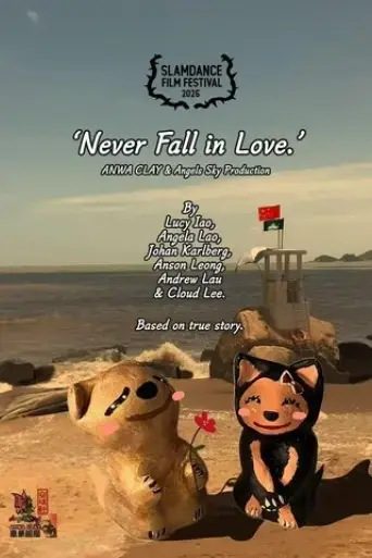 never-fall-in-love-2025