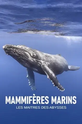 mammiferes-marins-les-maitres-des-abysses-2018