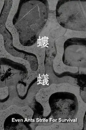 even-ants-strive-for-survival-2017