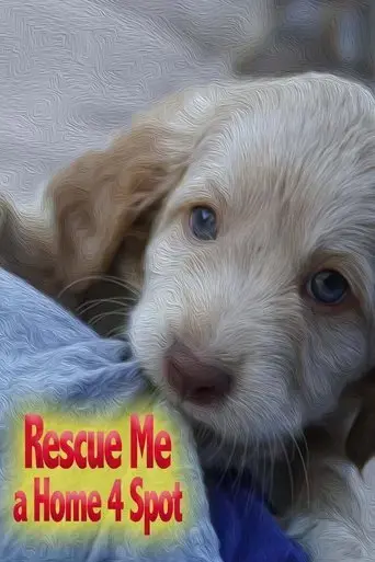 rescue-me-a-home-4-spot-2019
