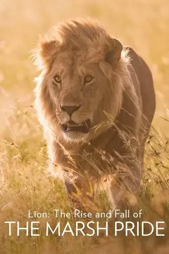 lion-the-rise-and-fall-of-the-marsh-pride-2022