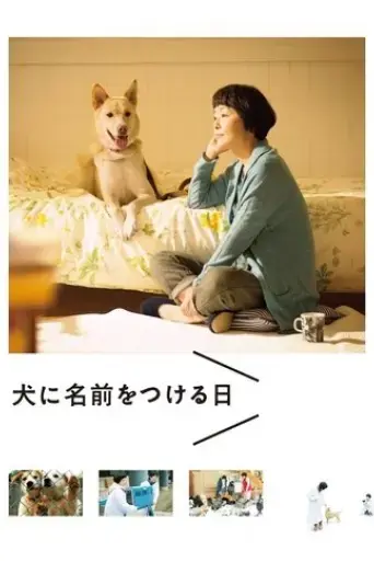 dogs-without-names-2015