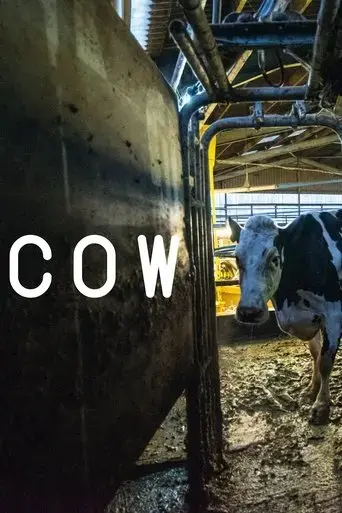 cow-2022