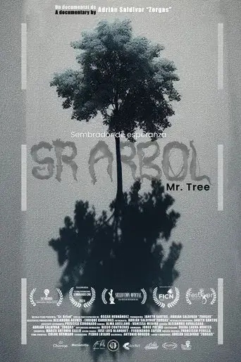mr-tree-2024