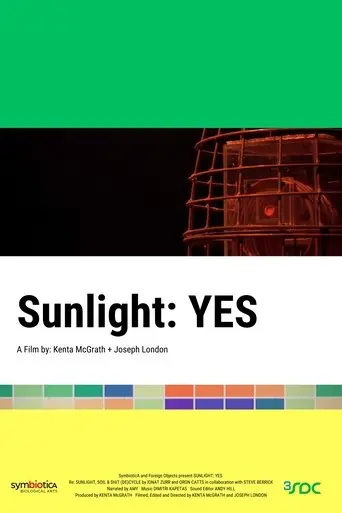 sunlight-yes-2025