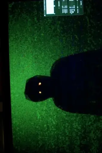 dektol-2024