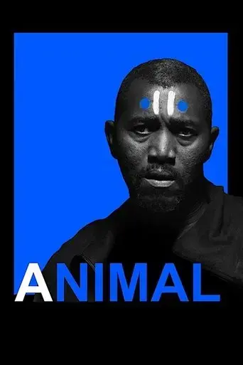 animal-2017