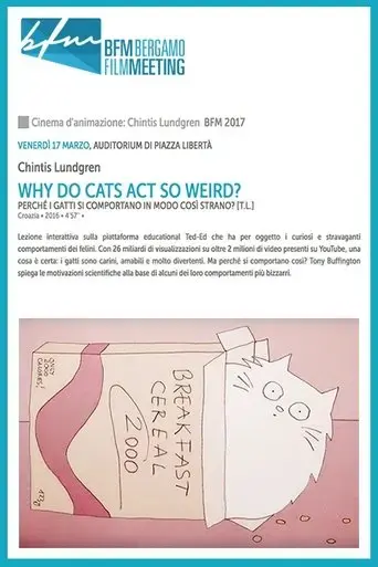 why-do-cats-act-so-weird-2016