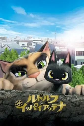 rudolf-the-black-cat-2016